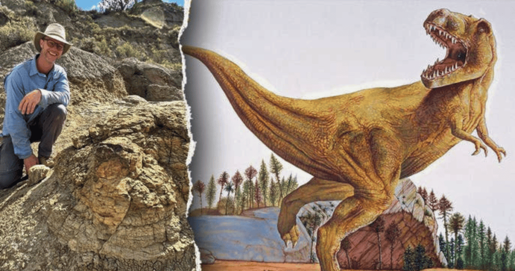First Adult T. Rex Trackway Found After 66 Million Years