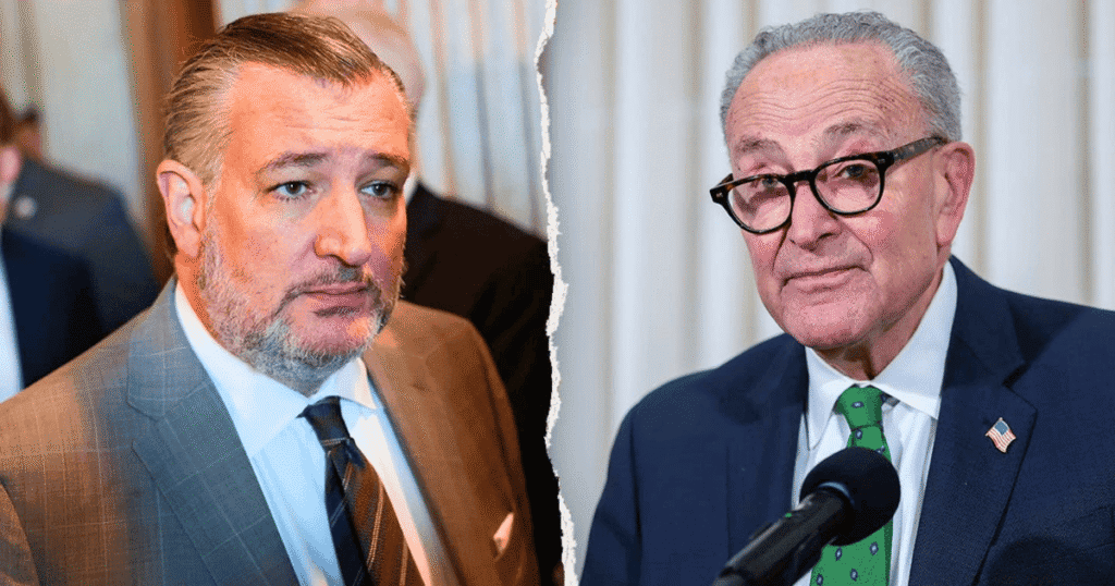 Ted Cruz Names Mamdani as Democrats’ Power Player
