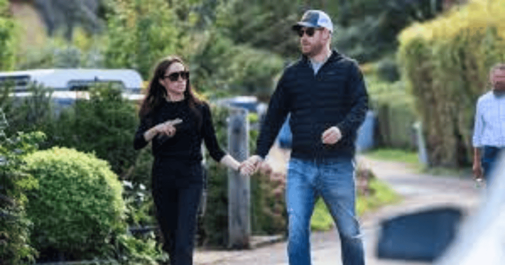 Harry and Meghan Hold Hands on Pub Date