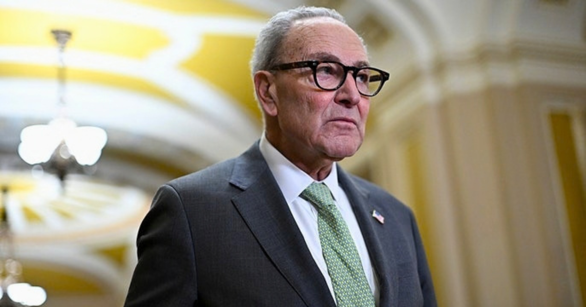 Schumer Faces Stunning Revolt as Democrats Demand Change