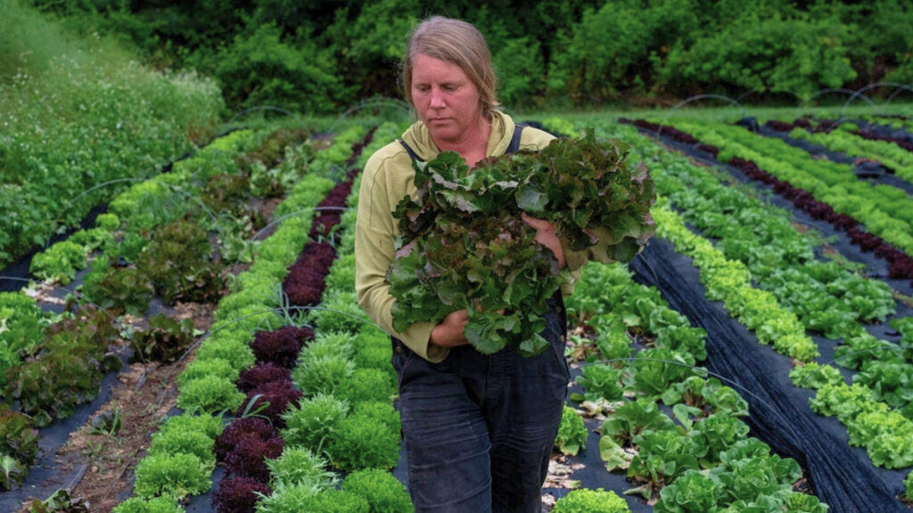 Why Food Prices Are So High? Farmers Reveal the Truth