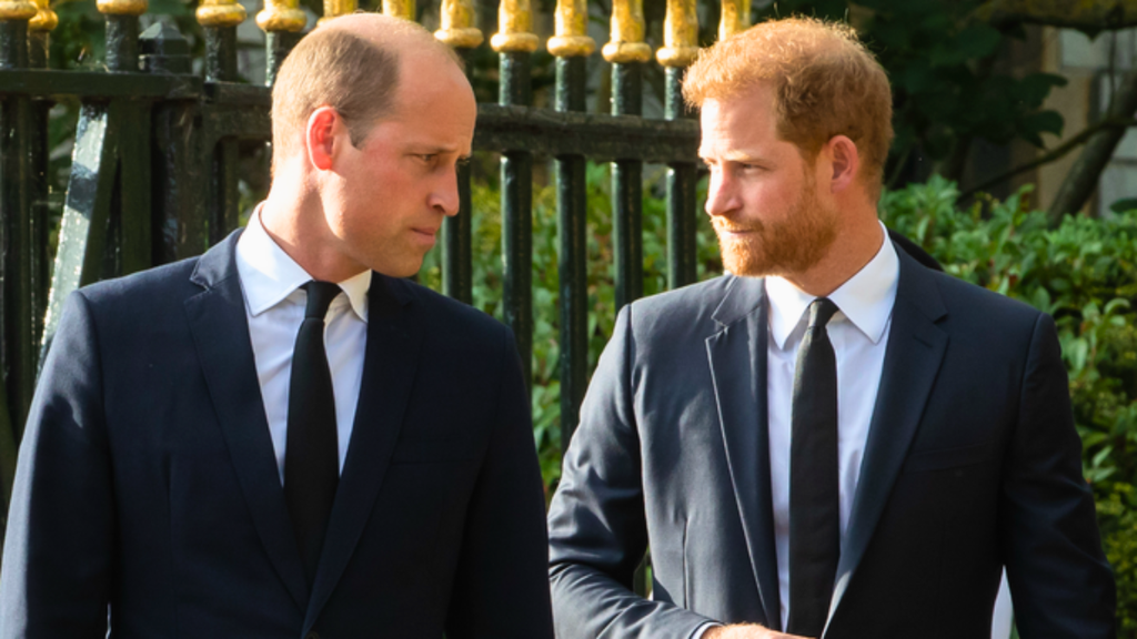 Prince Harry’s Film Plans Spark William Feud Fears
